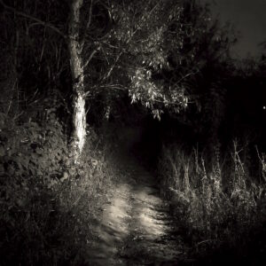 Incense, Chill Vibes 11" Pack [3am Dark Of Night] (5 Bamboo & Charcoal Sticks)